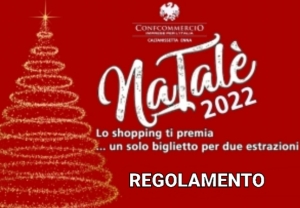 Regolamento NaTalè 2022
